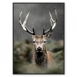 Toile cerf dans les...