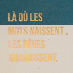 Carnet Zoé format A5 (lot de 2)