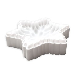Moule silicone 3D Céleste