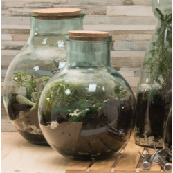 Terrarium et outils Aran 31 cm en verre recyclé