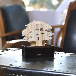 Mon arbre a parfum et sa recharge 150ml cèdre