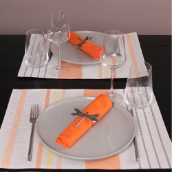 Set de table en résine Cap Ferret Orange 50x35 cm (lot de 6)
