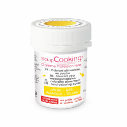 ScrapCooking Colorant Alimentaire Artificiel Poudre Blanc