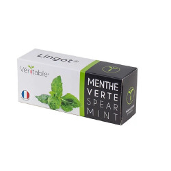 Lingot de menthe verte Bio