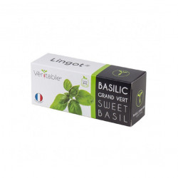 Lingot de basilic grand vert bio