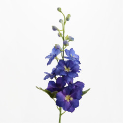 Tige de delphinium bleu...