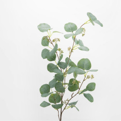 Branche d'eucalyptus Gunii artificiel 115 cm vert