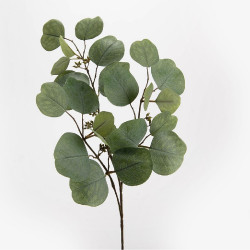 Branche d'eucalyptus Nicholii artificielle 65 cm