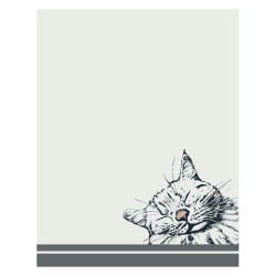 Set de 3 torchons cats 50x70cm gris