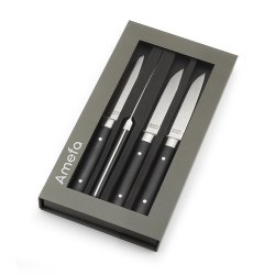 Coffret 4 couteaux steak...