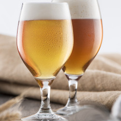 Boite de 6 verres à bière barley 28 cl