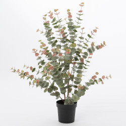 Eucalyptus 120 cm 