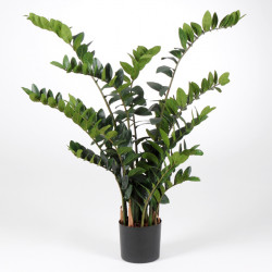 Zamioculcas artificiel 