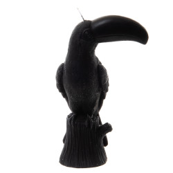 Bougie toucan noir