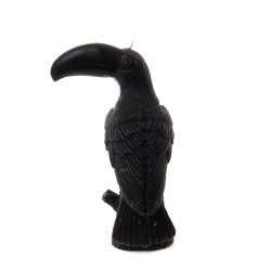 Bougie toucan noir