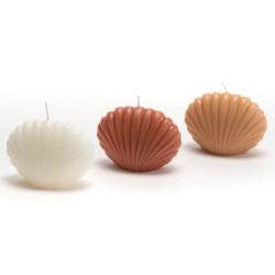 Bougie coquillage nude  (lot de 8)