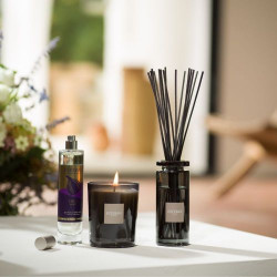 Bouquet initial Figue Noire 100ml