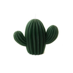 Bougie cactus vert (lot de 6)
