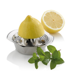Presse-citron Vison