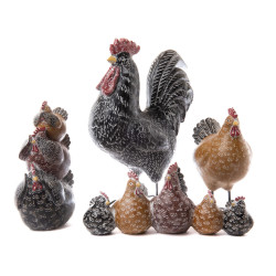 Coq Claude 40 cm