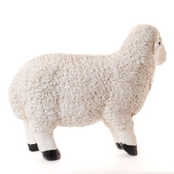 Mouton à poser 