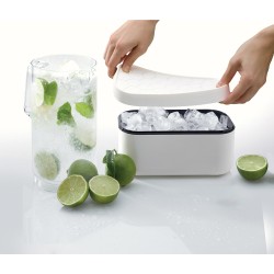 Bac à glaçons Ice box blanc