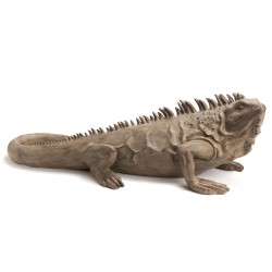 Iguane Colorado 95 cm 
