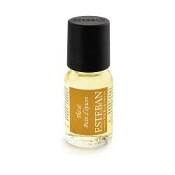 Concentré Thé et Pain d'épices 15 ml