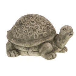 Tortue hivernage 27 cm