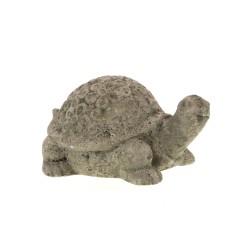 Tortue hivernage 19 cm