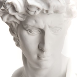 Buste statue Grecque de 35 cm en résine