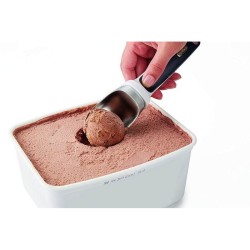 Cuillère à glace (1 modèle aléatoire)