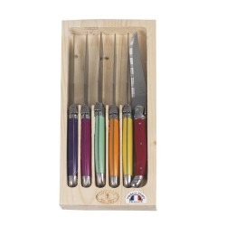Coffret 6 couteaux laguiole irise assortis