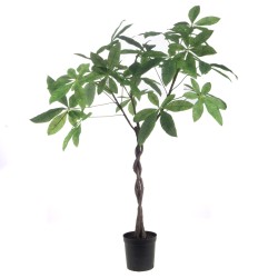 Pachira tressé en pot 117 cm 