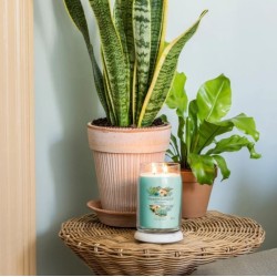 Bougie signature Aloe et Agave grand modèle