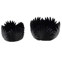 Coupe Tropical noire 15 cm 
