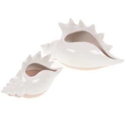 Coquillage bi-matière 14,5 cm