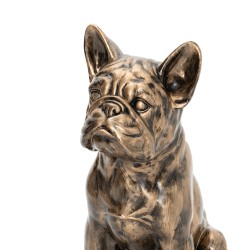 Bulldog Yuki assis patine