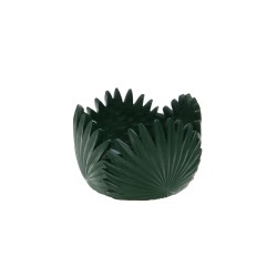 Coupe Tropical verte 10 cm