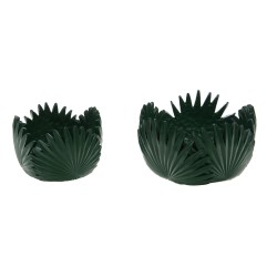 Coupe Tropical verte 10 cm