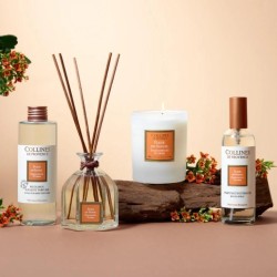 Bouquet Parfumé Fleur de Santal 100ml