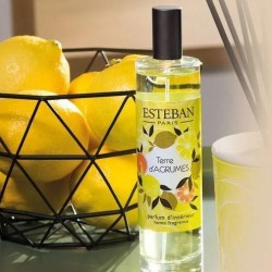 Vaporisateur terre d'agrumes 75 ml