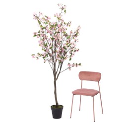 Cerisier Superba 200 cm rose