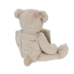 Peluche cadre Ourson