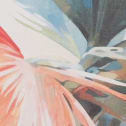 Kakemono Colosplash 80x100 cm