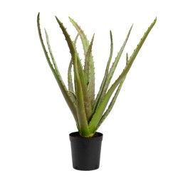 Cactus Aloe Vera Verox H80 cm 