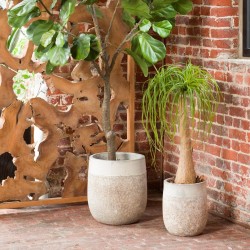 Set de 3 caches-pots Samoa