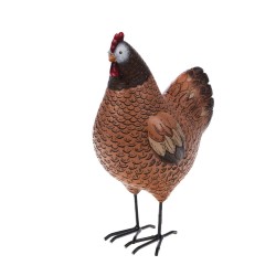 Poule Colette 