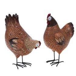 Poule Colette 