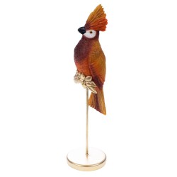 Oiseau Huppe Orange 